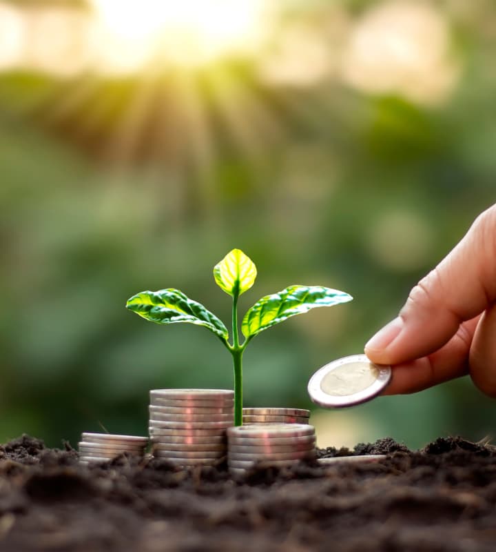 Understanding the Link Between Financial Literacy and Successful Homeownership